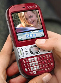 The New Palm Centro
