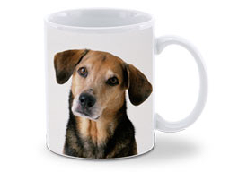 Shutterfly Mug