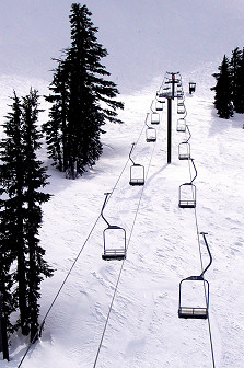 Skiing Photo